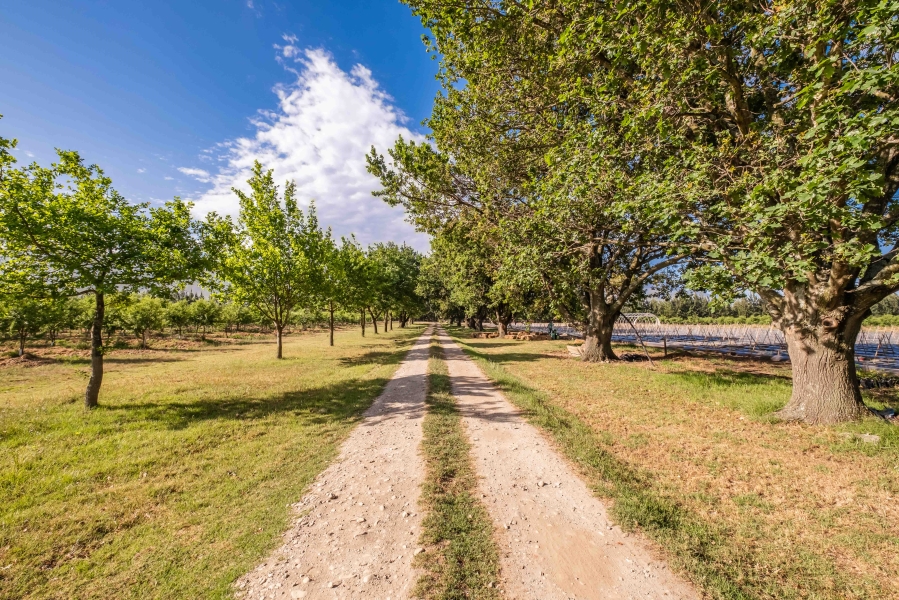 20 Bedroom Property for Sale in Swellendam Western Cape